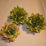 Fenchel