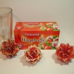 Hagebutte